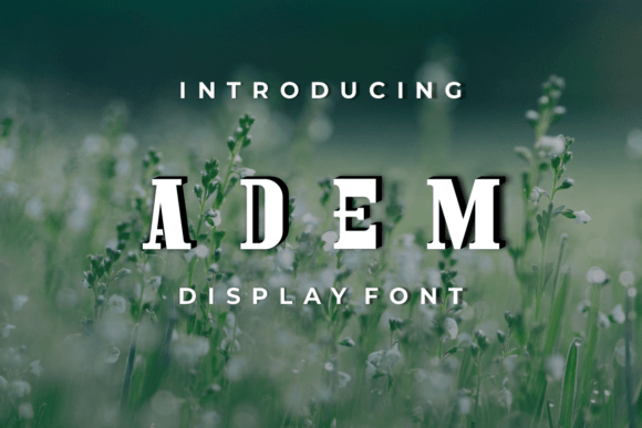 Adem Font: Modern Serif for Creative Projects