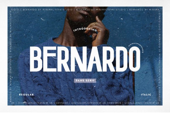 Bernardo Font for Professional Branding